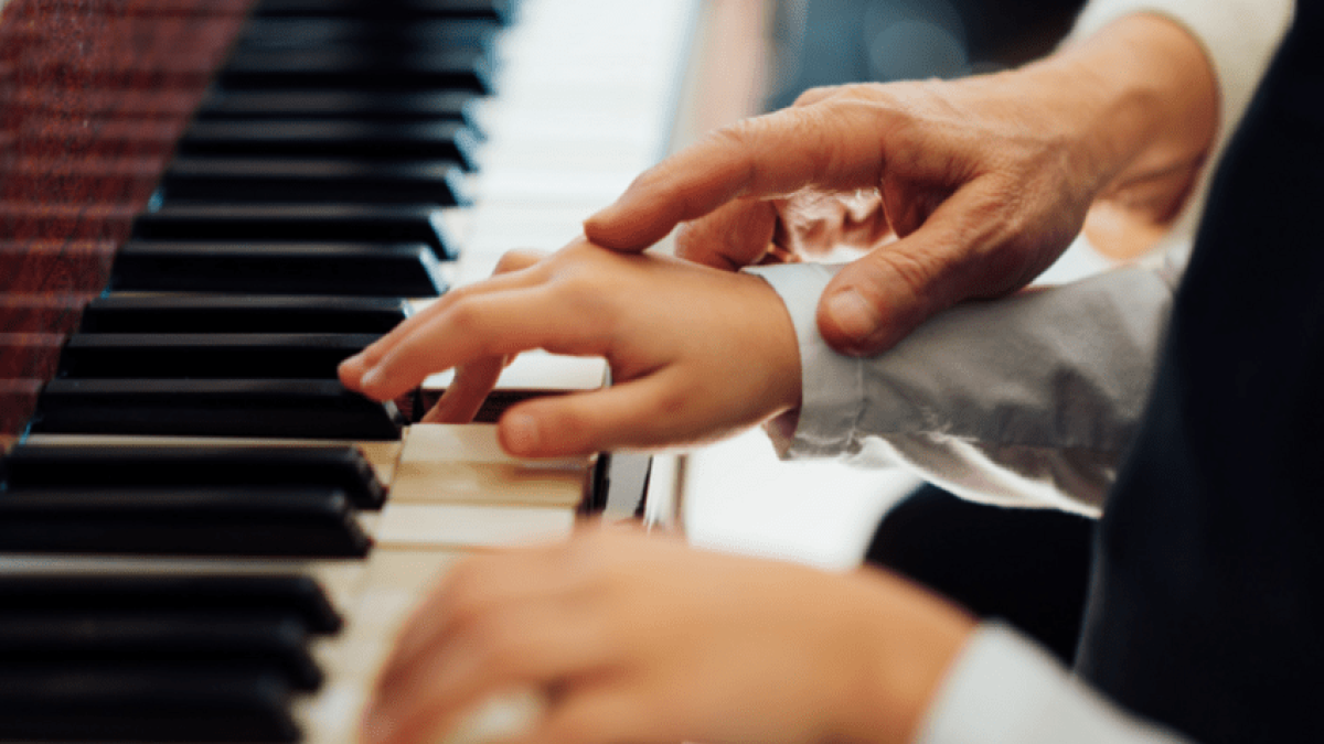 Certification rules for educators in music and art schools have been determined