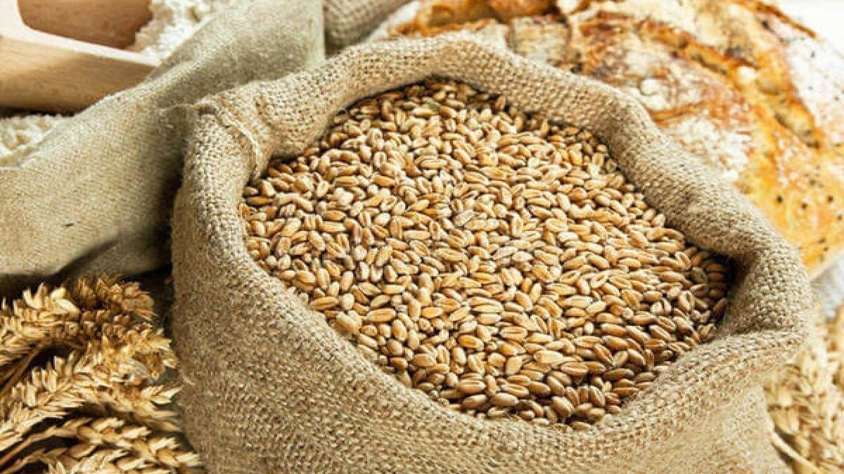 A new draft law on “Seed Growing” has been prepared, a Registry will be created