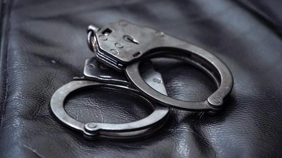 Admins of the page called “Limon turşusu” have been arrested