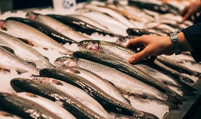 New sales regulations for fishery products are being established