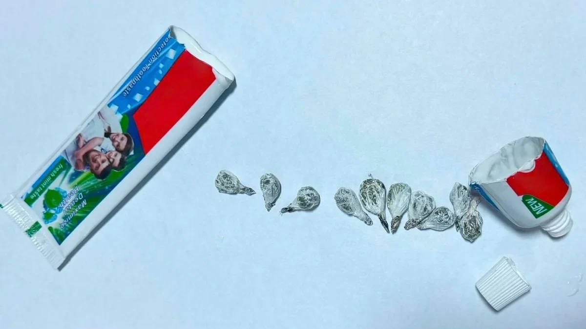 Attempt to smuggle drugs inside toothpaste into a penitentiary facility prevented