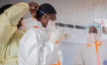 WHO: Ebola infections may be twice as high as reported