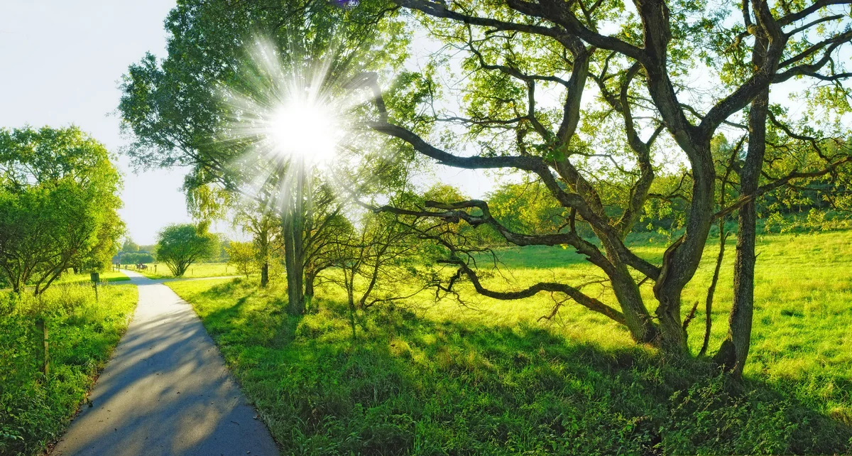 Tomorrow in Azerbaijan it will be 39 degrees hot