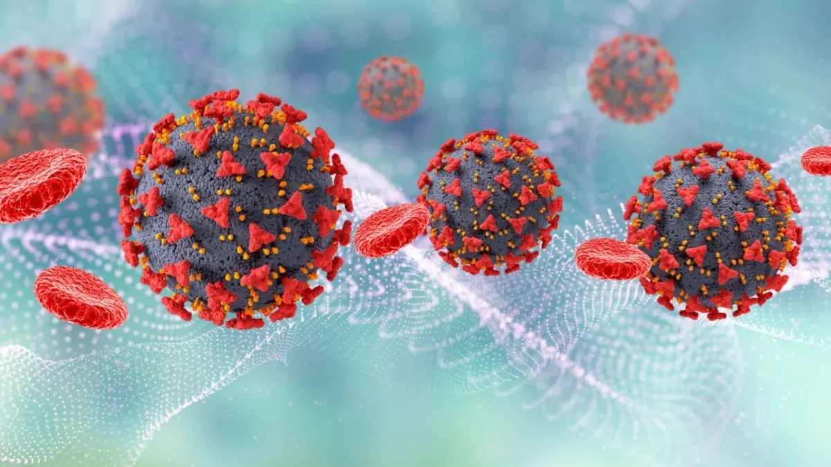 In the first six months of this year, 28 people were registered with hepatitis B and C diagnoses in Azerbaijan – OFFICIAL