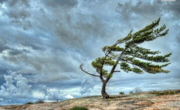 Wind will intensify, downpours expected – TOMORROW’S WEATHER