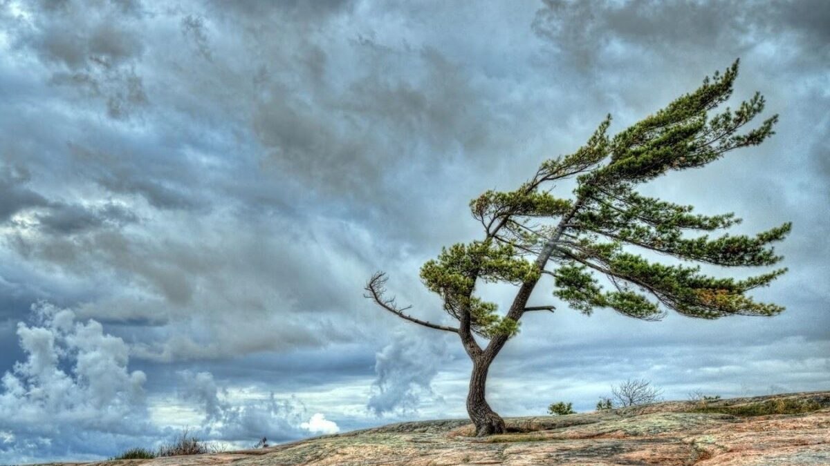 Yellow warning issued regarding windy weather conditions