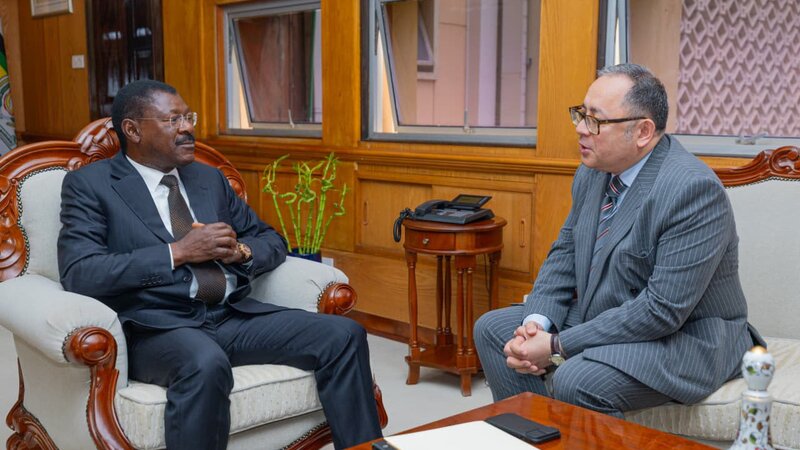 Development of dialogue between the parliaments of Azerbaijan and Kenya discussed
