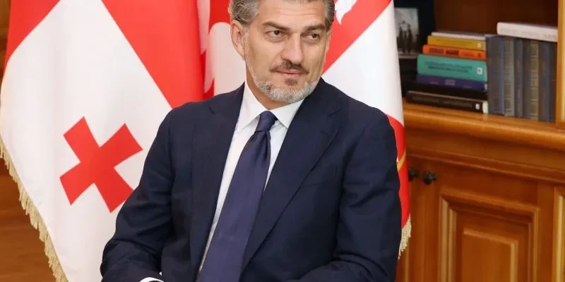 Georgian President pardons 226 people