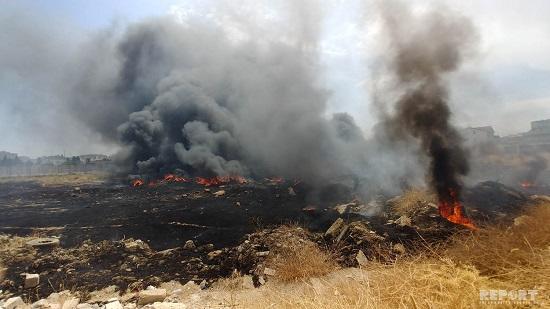 Person who committed arson in Zardab detained