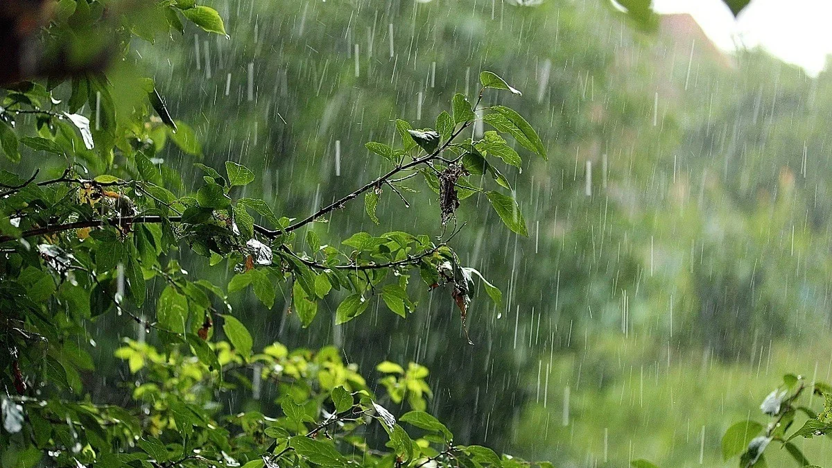 Weather conditions will be unstable over the next 3 days – WARNING