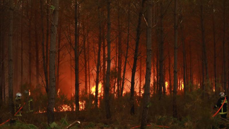 Firefighting efforts continue in southeastern France