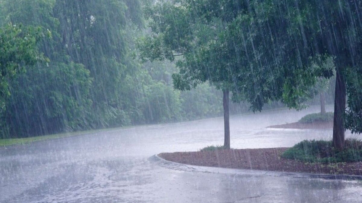 It will rain, there will be downpours – TOMORROW’S WEATHER