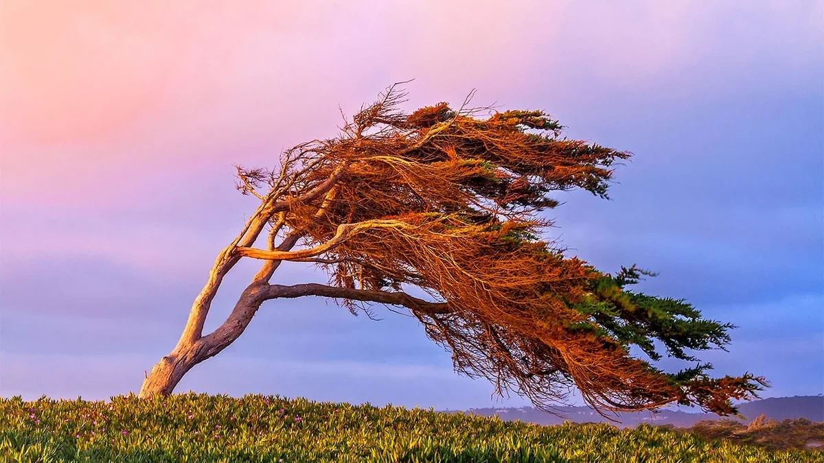 Yellow and orange warnings issued for windy weather in Baku, Absheron, and the regions