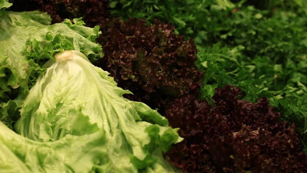 Greens-borne epidemic spreading: There are fatalities