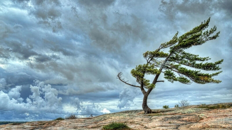 Wind will intensify in the next 3 days – WARNING