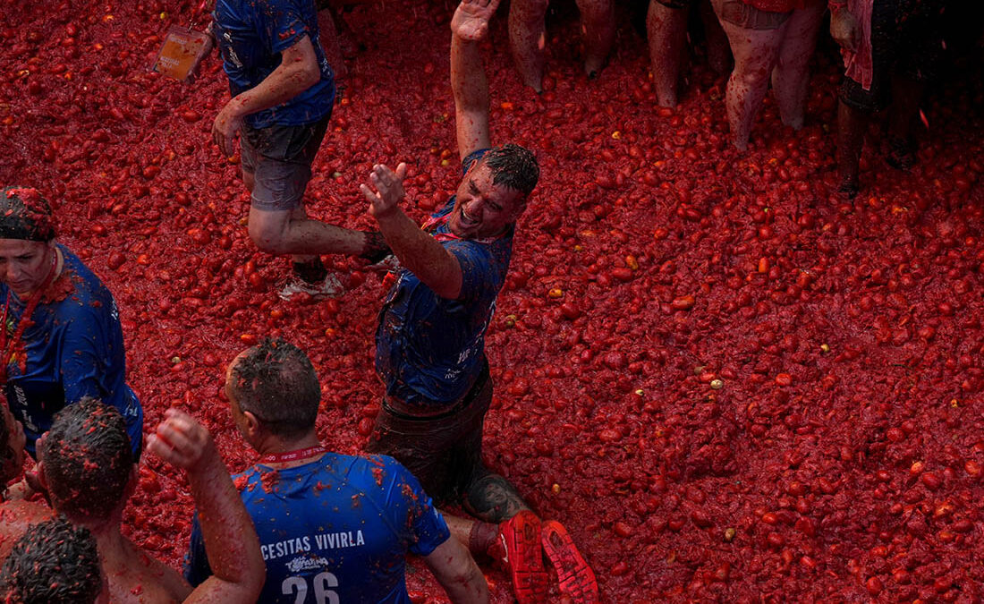 150 tons of tomatoes used during the “Tomatina” “battle” in Spain