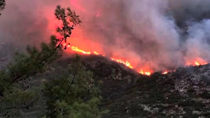 Colombia declares state of emergency due to forest fires