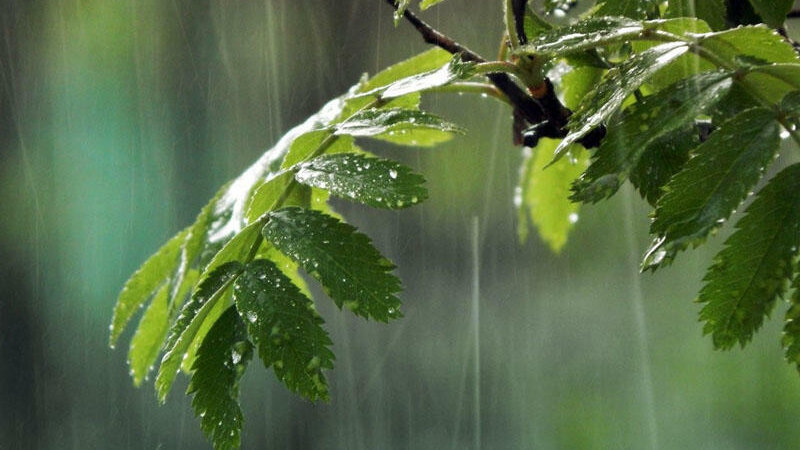 Monthly precipitation in September will be close to the climate norm – FORECAST