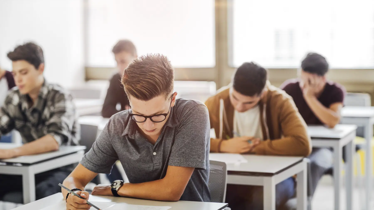 Admission requirements and plan places for the II-III specialty groups have been announced