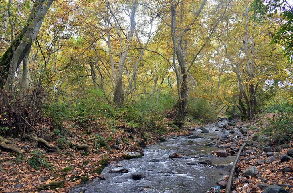 Did Armenians pour mercury into the Bastichay river?