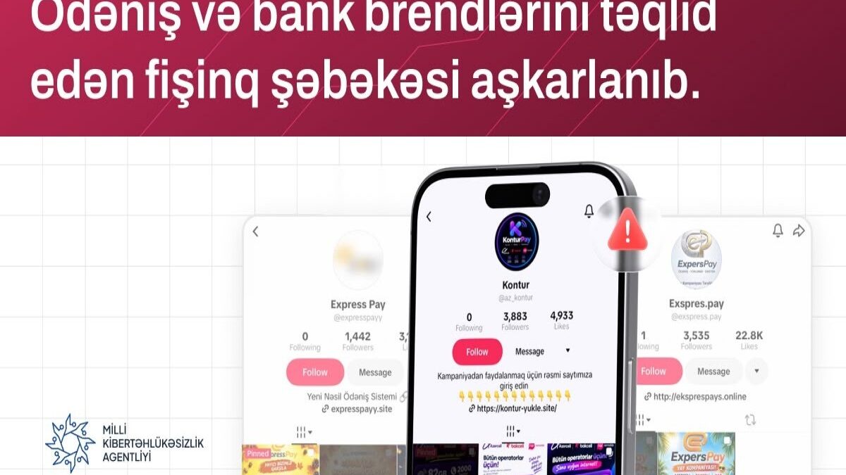 NCSA: 6 fake websites imitating payment systems detected