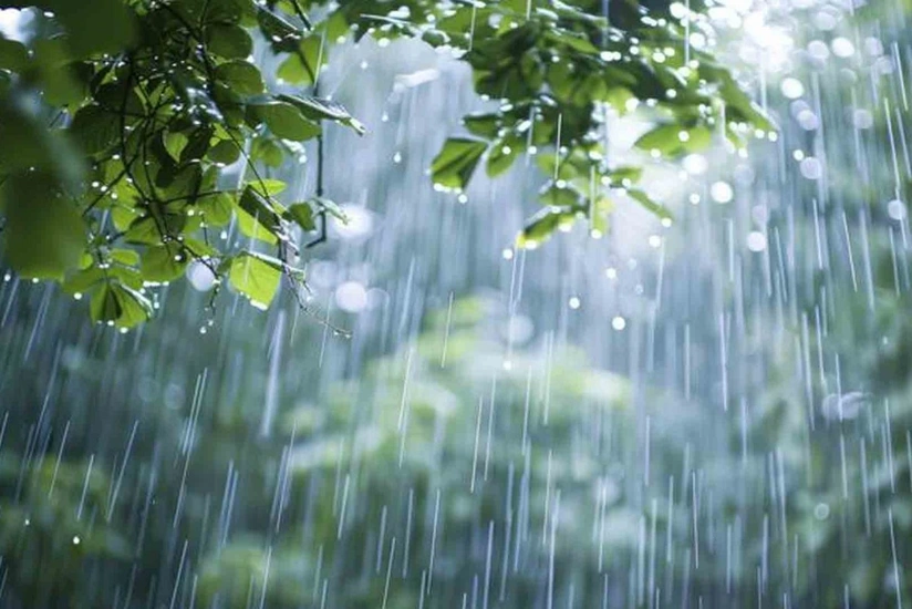 Heavy rain expected in some places – WARNING