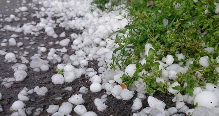 Hail fell in Goygol – ACTUAL WEATHER