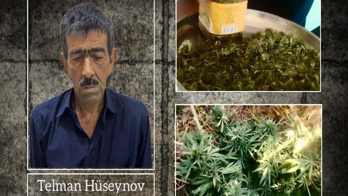 Person cultivating narcotic plants detained in Ujar