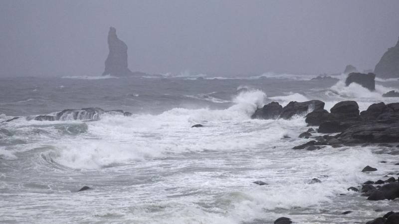 Strong typhoon warning issued in Japan