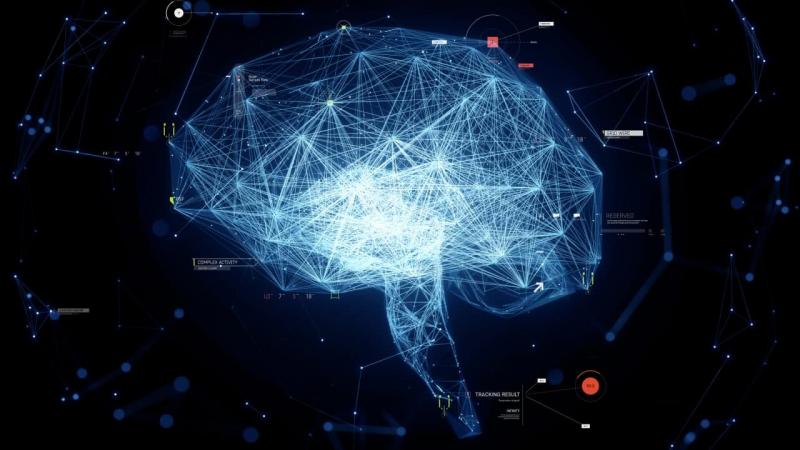 Revolutionary discovery: The human brain is actually two separate organs