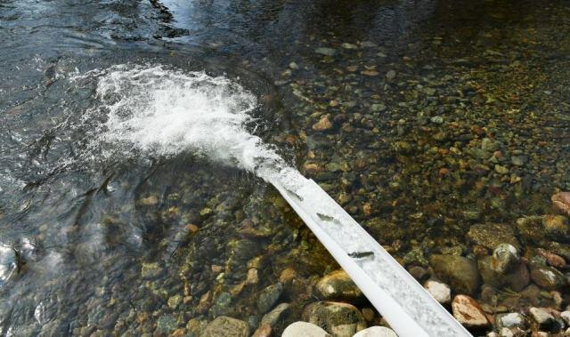 New fish species discovered in Azerbaijan