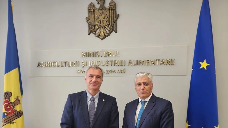 Cooperation between Azerbaijan and Moldova discussed