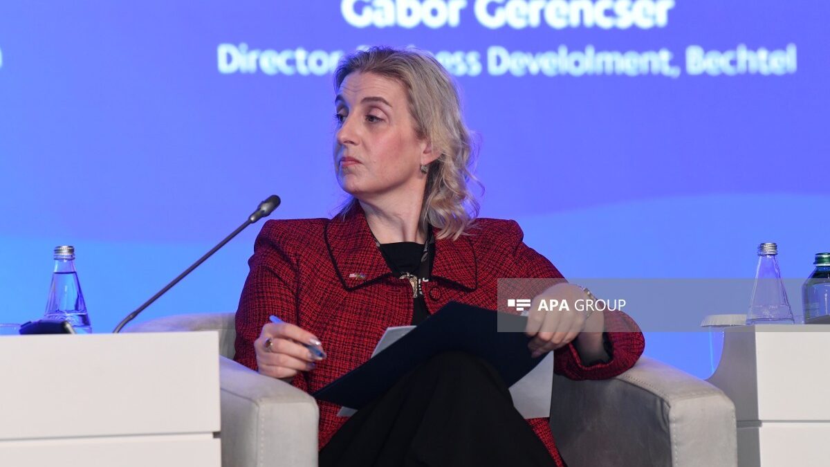 Amy Carlon: US-Azerbaijan relations are experiencing a landmark period