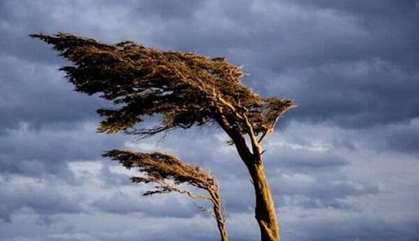 Windy weather conditions are observed in some places – ACTUAL WEATHER