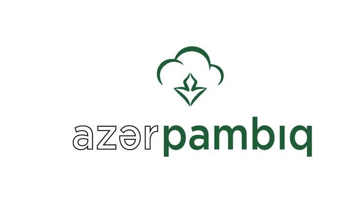 “Azərpambıq” increased its export revenues by nearly 77%