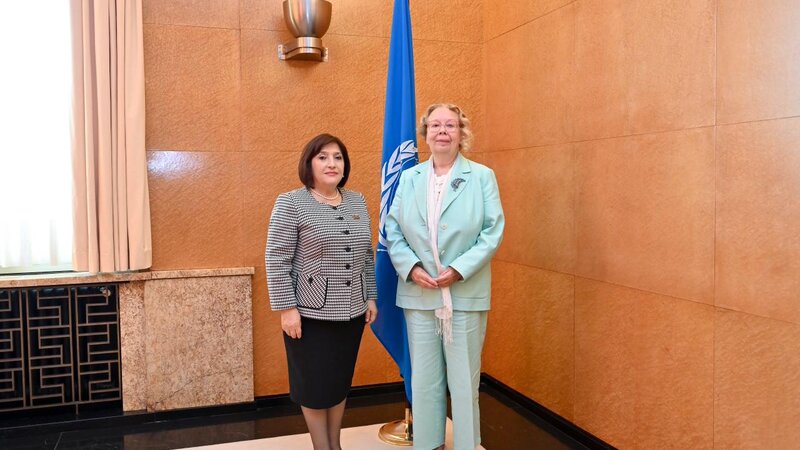 Sahiba Gafarova met with the Director-General of the UN Office at Geneva
