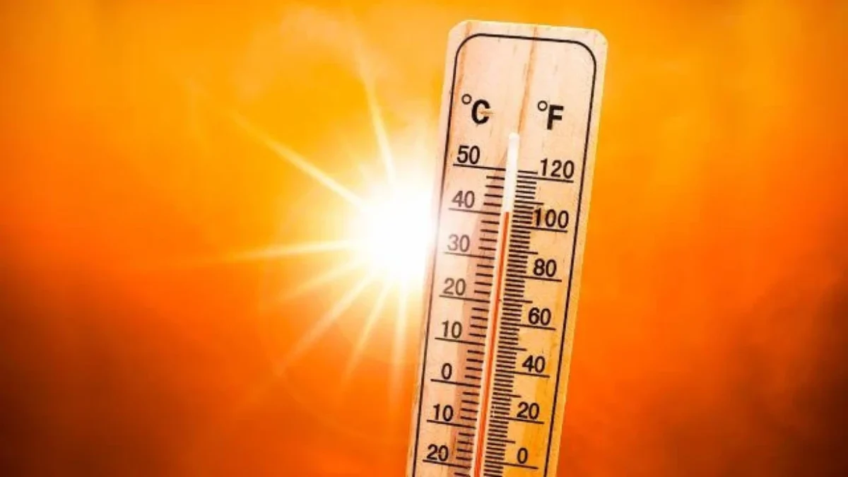 The world experienced the hottest August on record