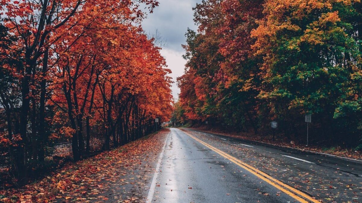 Autumn season will arrive in Azerbaijan on September 23