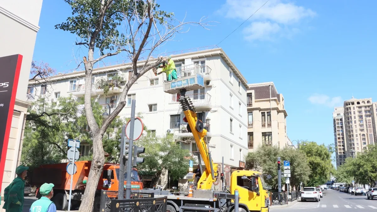 Preemptive measures against wind are being taken in Baku