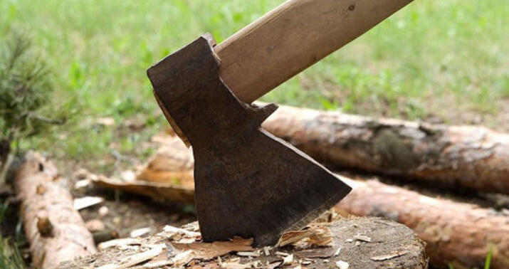 200 thousand manats of damage caused to greenery