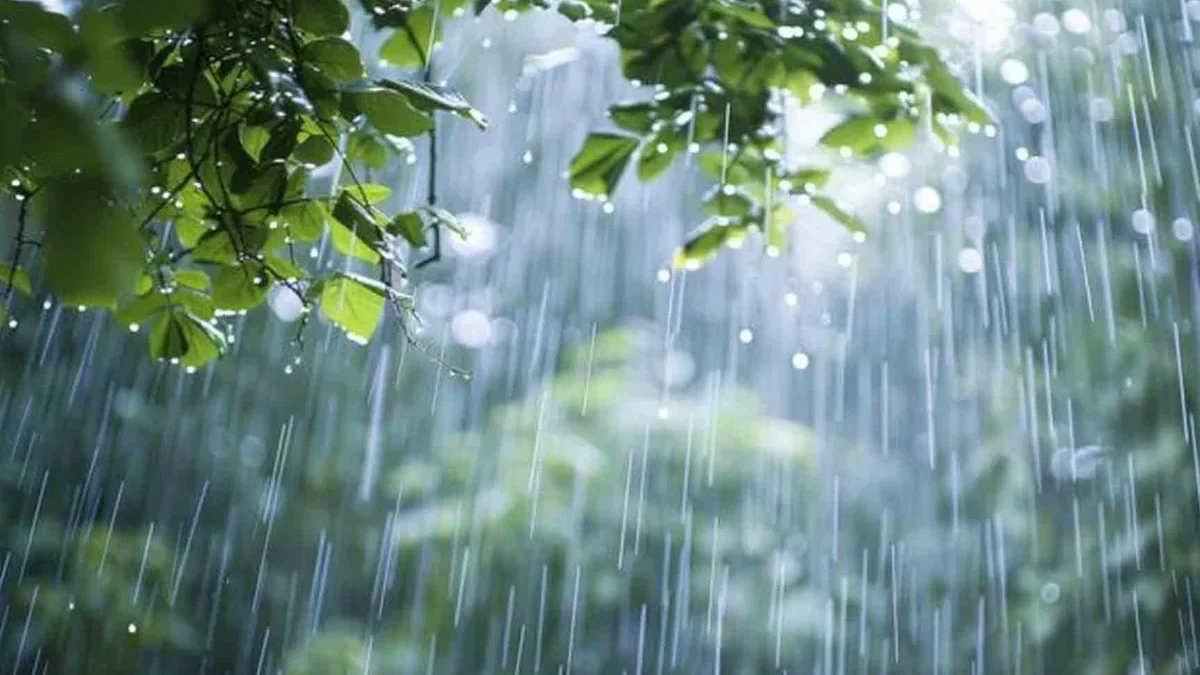 Heavy rain and hail expected in the regions tomorrow – WARNING