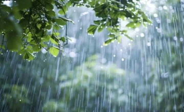 Heavy rain and hail expected in the regions tomorrow – WARNING