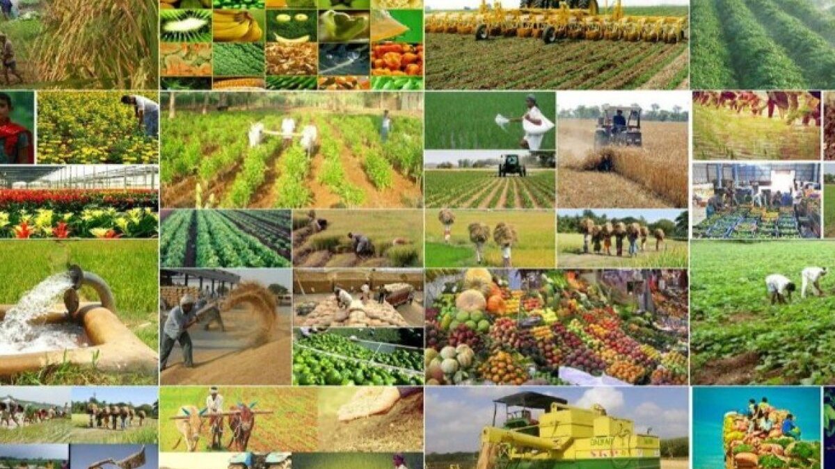 New areas for agricultural subsidies in Azerbaijan have been announced