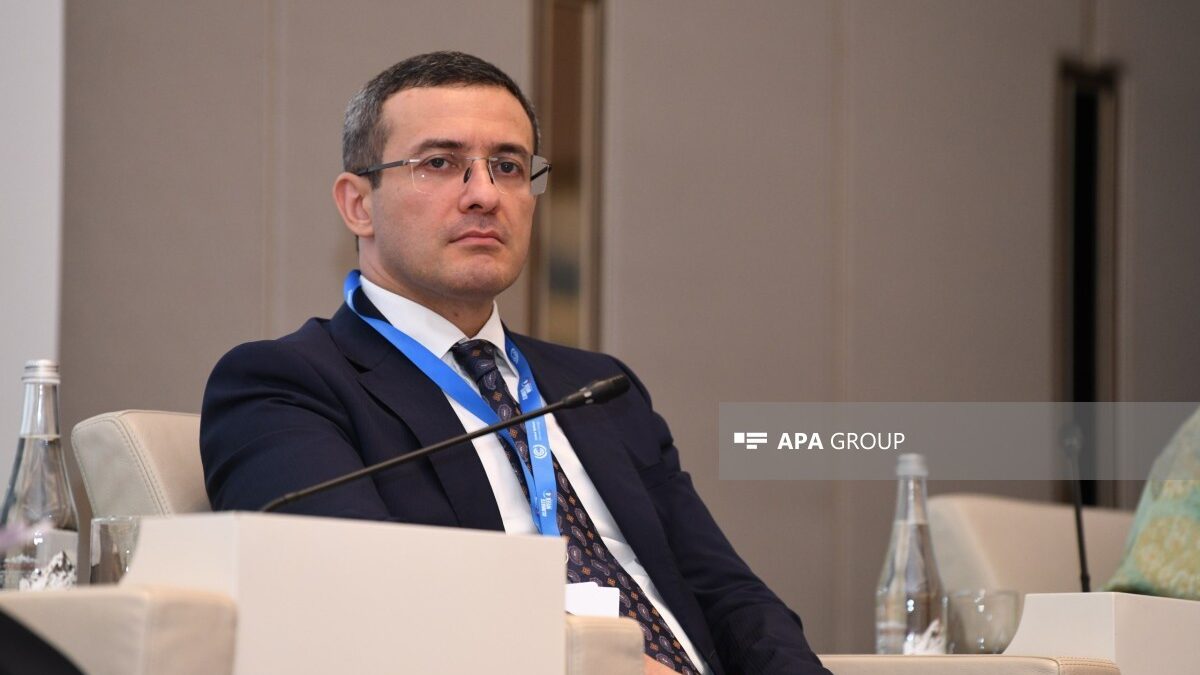 Director: Azerbaijan’s hosting of COP29 has made a significant contribution to the development of climate diplomacy