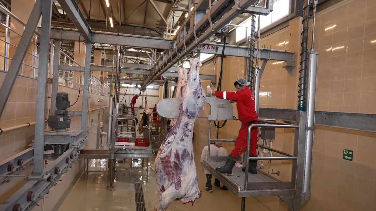 AQTA: Modern animal slaughterhouses must be established in 33 districts and cities