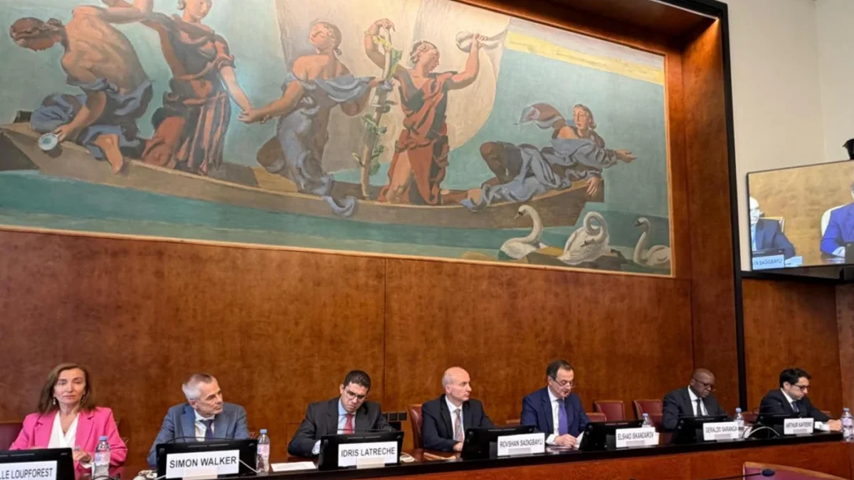 Azerbaijan organized a discussion on the rights of mine victims at the UN
