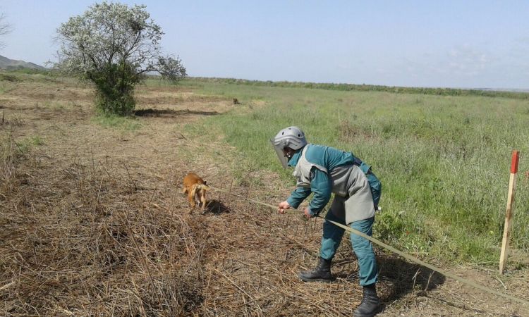 438 people have fallen victim to mines since the Patriotic War