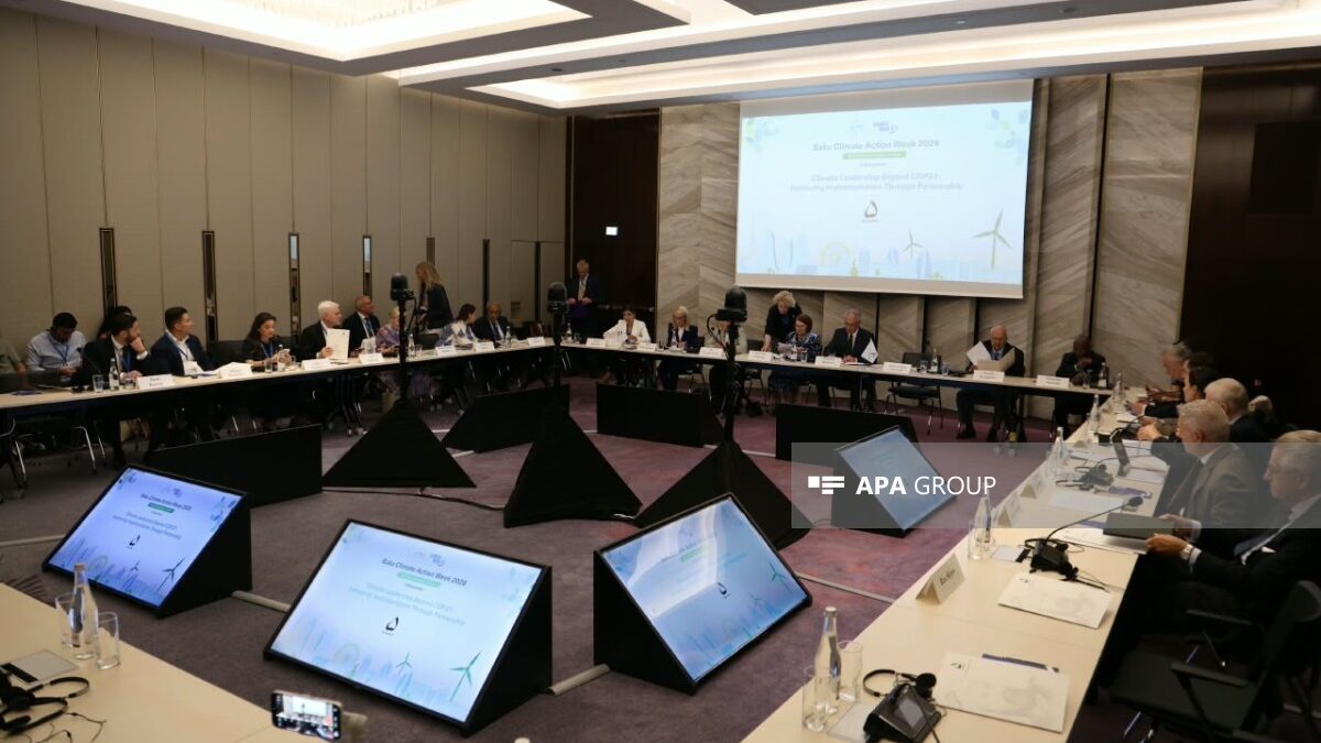 A roundtable was held within the framework of Baku Climate Action Week