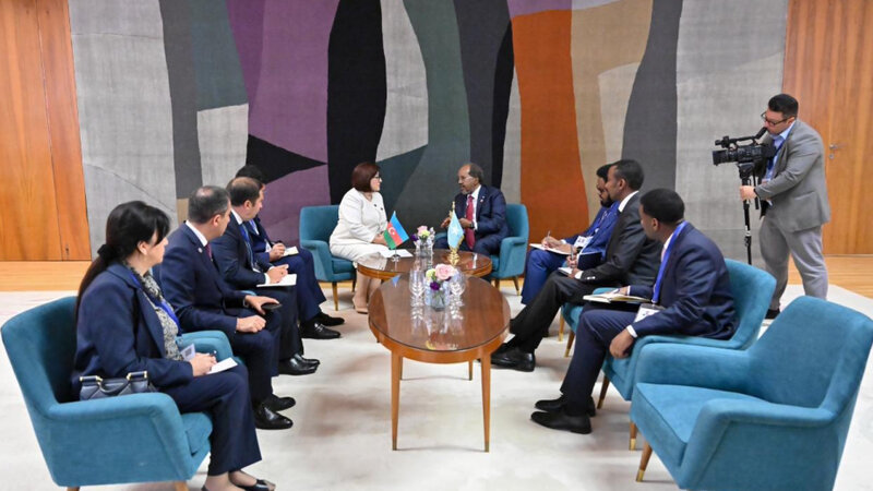 Sahiba Gafarova met with the President of Somalia