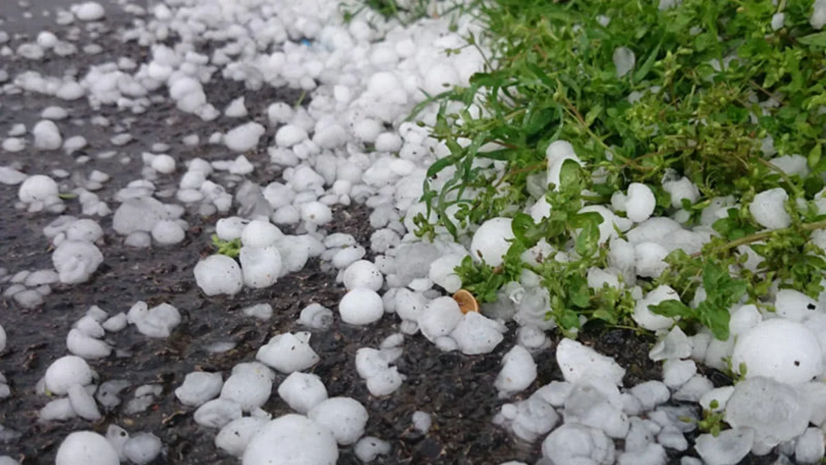 Hail falls in Tovuz district